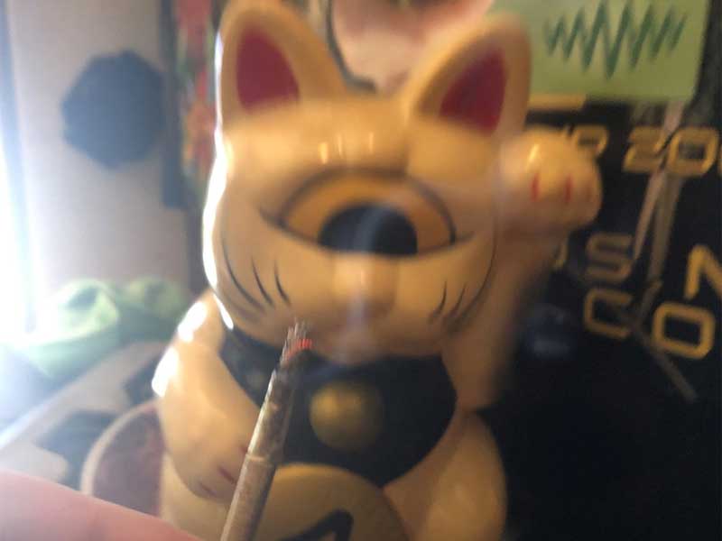 GREEN OCEAN/HHCP  HERB Joint/EARTH OG HHCP �W���C���g Regular�AShot