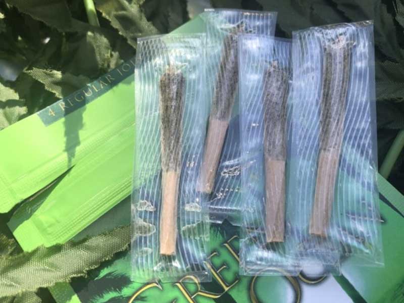 GREEN OCEAN/THCH HERB Joint/Devil Fruits THCH �W���C���g & Crashed Herb