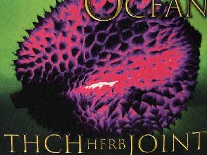 GREEN OCEAN/THCH HERB Joint/Devil Fruits THCH �W���C���g & Crashed Herb