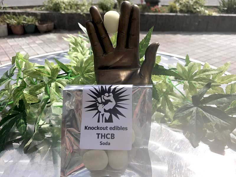Knockout �m�b�N�A�E�g THCB Edibles Gummy THCB�n�[�h�O�~�@THCB 30mg x 10�� �\�[�_��