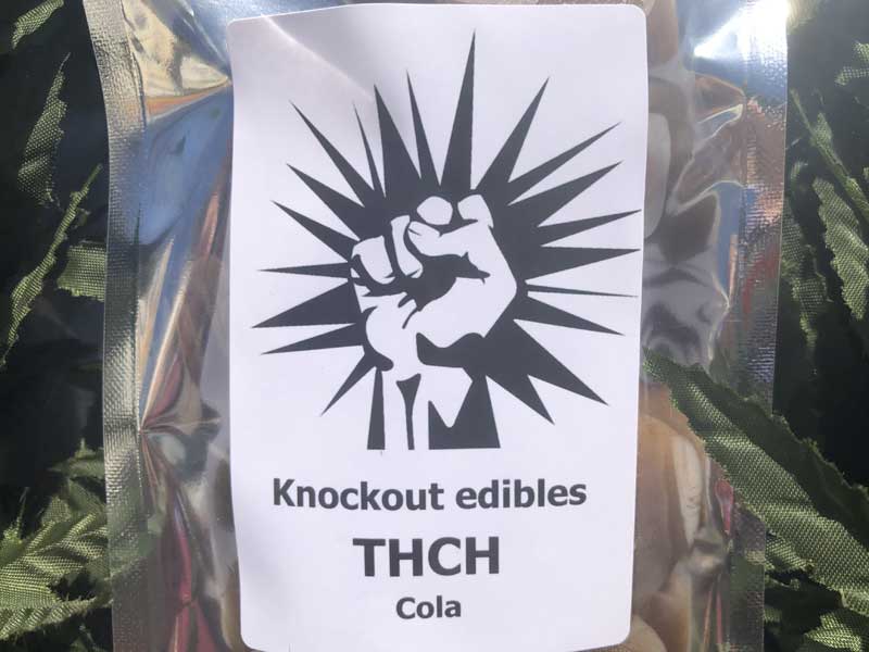 Knockout �m�b�N�A�E�g THCH Edibles Gummy THCH���Z�x�n�[�h�O�~�@THCH 5mg x 10�� �R�[����