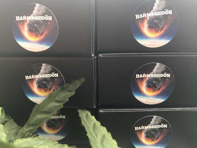 KNOCKOUT Harmagedon�i�n���}�Q�h���jTHCB45%�THCH40% THCH & THCB���L�b�h 1ml