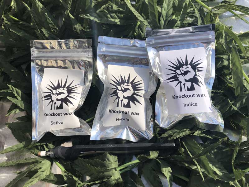 Knockout THCH WAX /Indica/Zkittlez/�m�b�N�A�E�g THCH���b�N�X �C���f�B�J �X�e���X ���C�u���W��