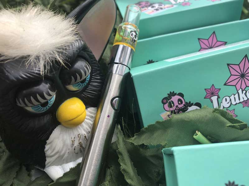 Leuke dagen(���[�N�_�[�Q��) Apple fritter THCH20% 0.5ml�@�p���_����THCH���L�b�h