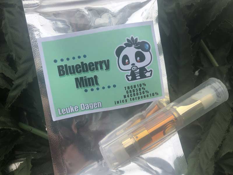 Leuke Dagen Blueberry Mint THCH 10% 1.0ml　THCHリキッド ブルーベリーミントパンダリキッド