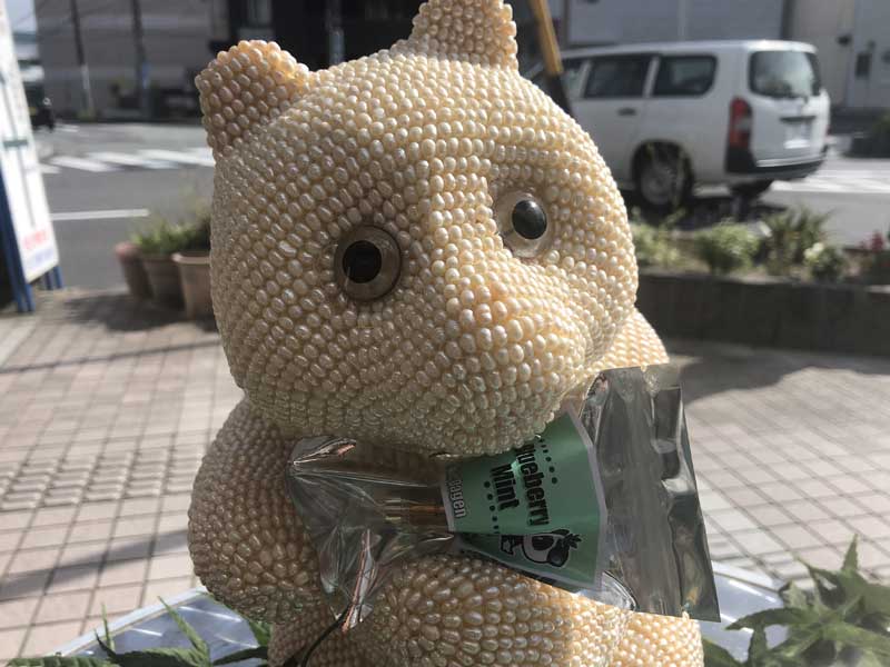 Leuke Dagen Blueberry Mint THCH 10% 1.0ml�@THCH���L�b�h �u���[�x���[�~���g�p���_���L�b�h