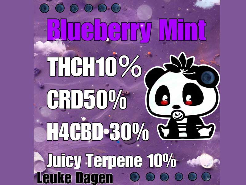 Leuke Dagen Blueberry Mint THCH 10% 1.0ml�@THCH���L�b�h �u���[�x���[�~���g�p���_���L�b�h