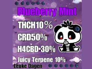 Leuke Dagen Blueberry Mint THCH 10% 1.0ml@THCHLbh u[x[~gp_Lbh