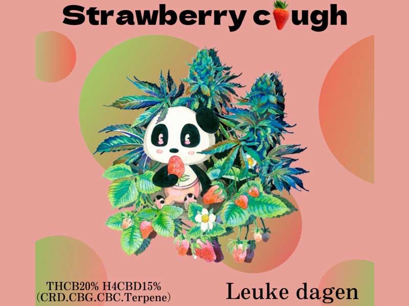 Leuke dagen(ルークダーゲン) Strawberry cough THCB20% 0.5ml & 1ml 　THCBリキッド パンダリキッド