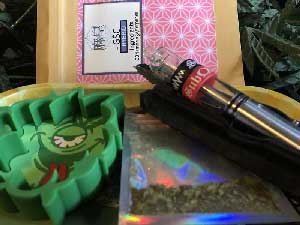 ���c�n�[�u�@CBN�n�[�u3g �ACBN�W���C���g CBN 1000mg &�������K&�V�R�e���y�� �R�X�p���������C�C�z��