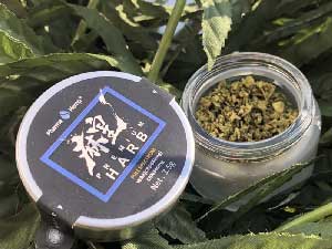 ���c�~Pharma Hemp ���c�n�[�u�v���~�A��3.5g �t���X�y�N�g����CBD JELL WAX & �w���v�e���y�� & CBN�n�[�u