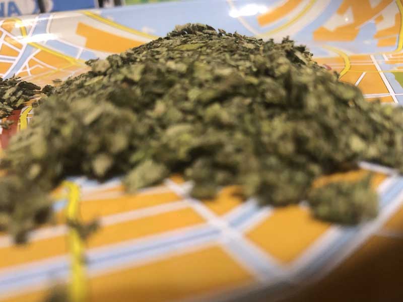 ���c�n�[�u�@�n�C�O���[�h3.5g/THCH 50% 500mg & �t���X�y�N�g���� WAX THCH�n�[�u�A�W���C���g