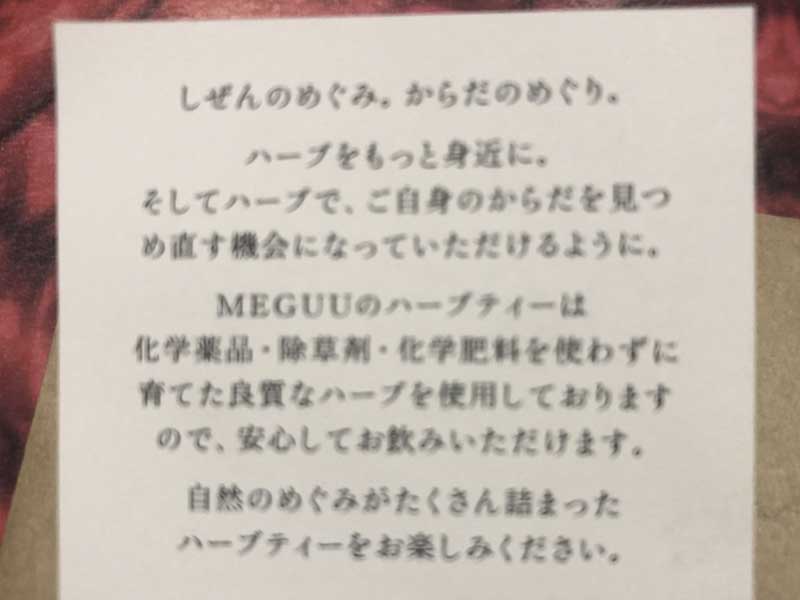 MEGUU�@manana detox �G�߂̕ς��� �f�g�b�N�X �A���Ö@�m���u�����h���� �㎿�ȃn�[�u�e�B�[