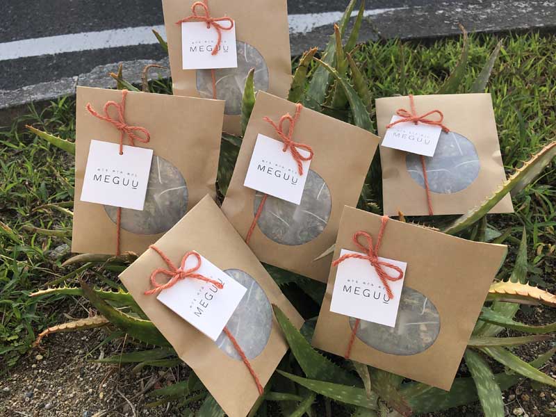 MEGUU x manana mamori �Ɖu��UP �W���W���[ �V�i�����g���@�A���Ö@�m���u�����h���� �㎿�ȃn�[�u�e�B�[