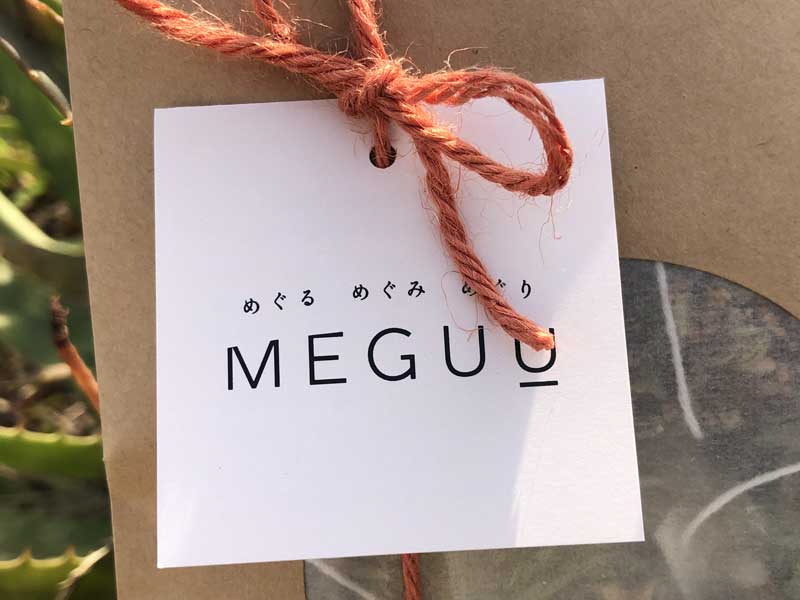 MEGUU x manana mamori �Ɖu��UP �W���W���[ �V�i�����g���@�A���Ö@�m���u�����h���� �㎿�ȃn�[�u�e�B�[