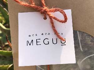 MEGUU x manana mamori 免疫力UP ジンジャー シナモン紅茶　植物療法士がブレンドした 上質なハーブティー