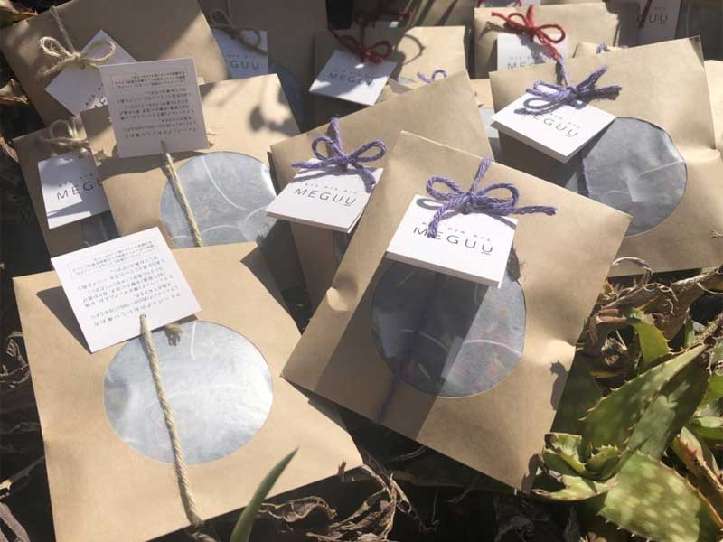 MEGUU�@manana totonoe �G�߂̕ς��� ���� �A���Ö@�m���u�����h���� �㎿�ȃn�[�u�e�B�[