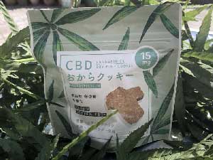 Odisea/CBD 15mg ������N�b�L�[�A�I�f�B�Z�A�ACBD�G�f�B�u���A�X�[�p�[�t�[�h�A���B�[�K���X�B�[�c