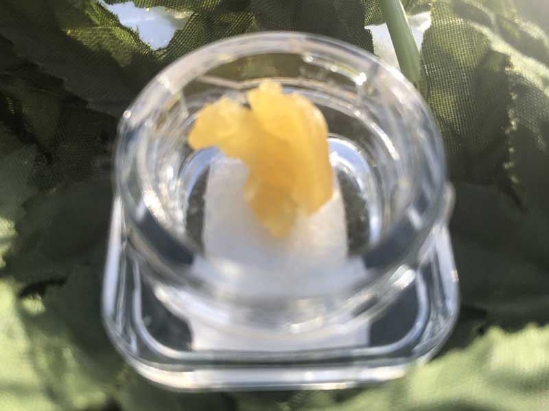 <DIV align="center"><IMG src="file:///C:/Users/Owner/Pictures/rivet-website/manana/onlinestore/vape/e-liquid/cbd/paak-canna-medic/wax/thch/mint-live-resin5.jpg" width="700" alt="Paak Canna Medic �p�[�N�J���i���f�B�b�N Mint Live Resin WAX THCH23%+CBG 90% WAX" height="525"></DIV>