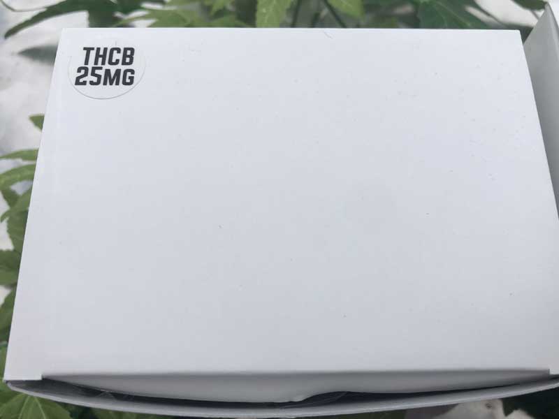 CBD SWEETS PARADAISE CBD/MUNCHIE BROWNIE/THCB 25mg x CBD 100mg x2�� �`���R���[�g�u���E�j�[