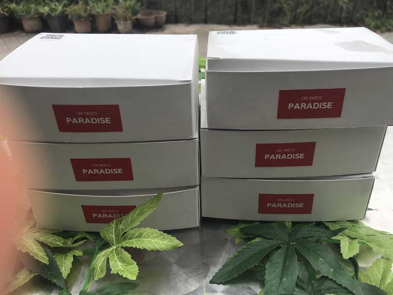CBD SWEETS PARADAISE CBD/MUNCHIE BROWNIE/THCB 25mg x CBD 100mg x2�� �`���R���[�g�u���E�j�[