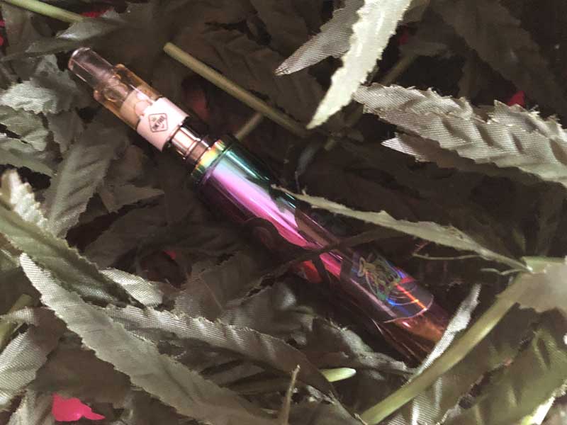 Second Life CBD/High-Grade S.L.C/Pineapple Kush CBD�n�D�i���L�b�h1ml�@CBD�D�� 90% ��4