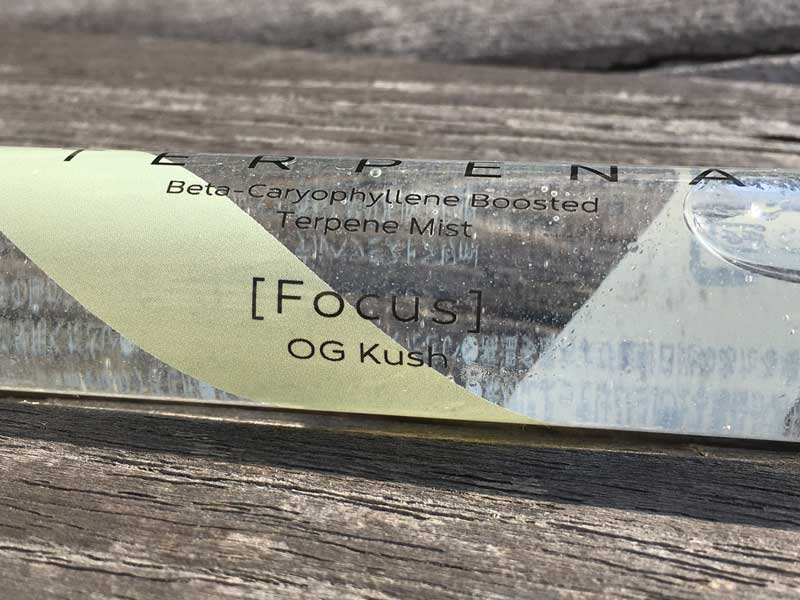 TERPENA �e���y�i ���J���I�t�B�����@�u�[�X�e�b�h�@�e���y���~�X�g �yFocus�zOG Kush