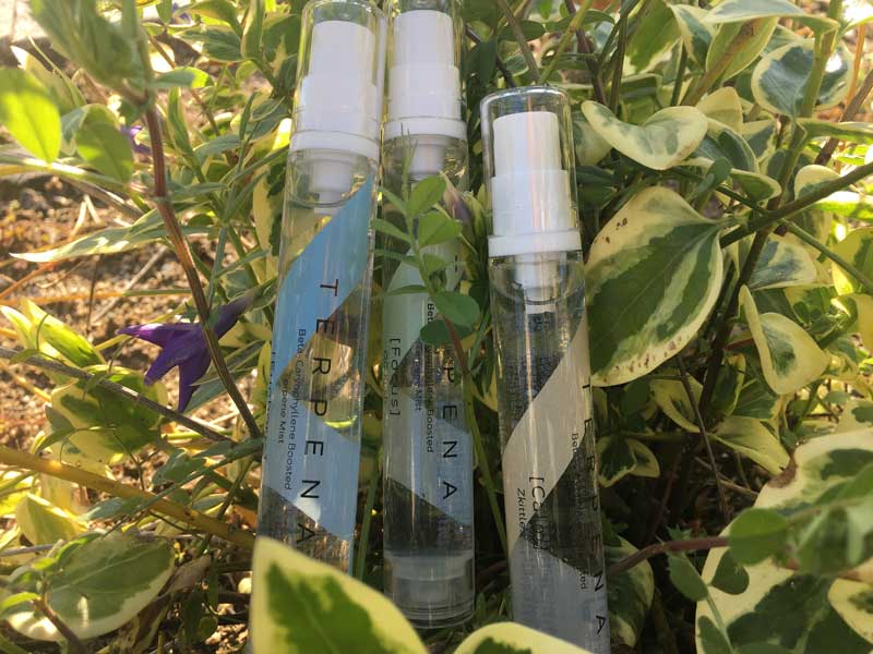 TERPENA �e���y�i ���J���I�t�B�����@�u�[�X�e�b�h�@�e���y���~�X�g x 3��̃e���y���̍���