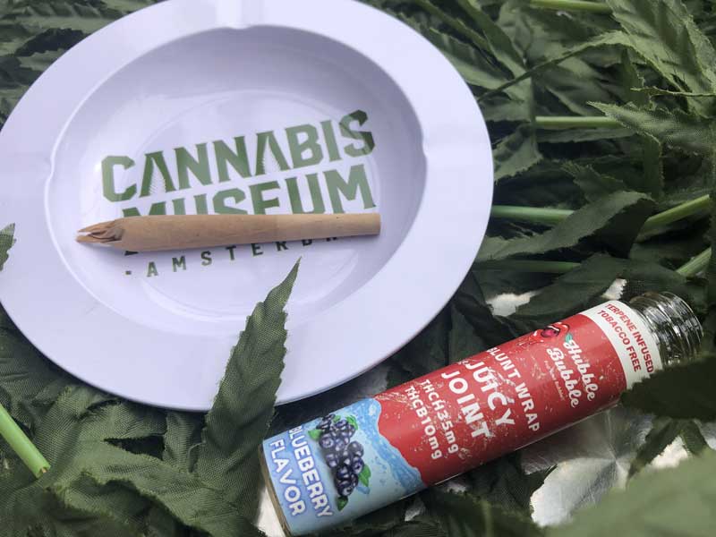 Cannabis Museum Amsterdam�A�J���i�r�X�~���[�W�A�� �A���X�e���_�� Smoking Goods