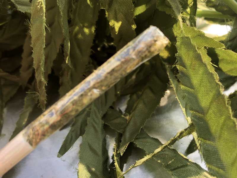 LUXE GLASS CLEAR 1 1/4 �O���X �N���A�[ �V�R�Z�����[�X������ꂽ�����̃��[�����O�y�[�p�[