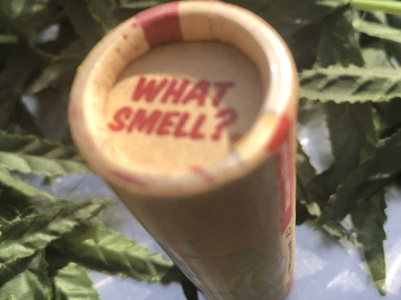 WHAT SMELL? SMOKE FILTER スモークフィルター ヘンププラスチックを使用したマウスピース匂い消し