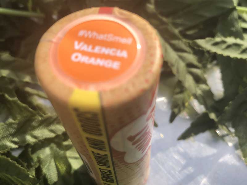 WHAT SMELL? SMOKE FILTER スモークフィルター ヘンププラスチックを使用したマウスピース匂い消し