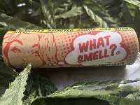 WHAT SMELL? SMOKE FILTER �X���[�N�t�B���^�[ �w���v�v���X�`�b�N���g�p�����}�E�X�s�[�X��������