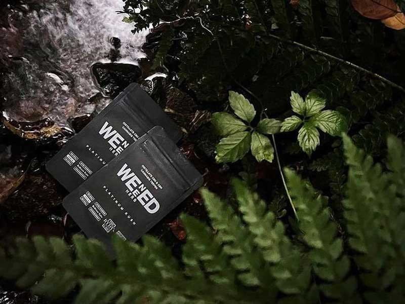 WENEED HERB�@PLATINUM KUSH�A�E�B�j�[�h�A�v���`�i���N�b�V���ACBN &CBD �n�[�u�A�W���C���g