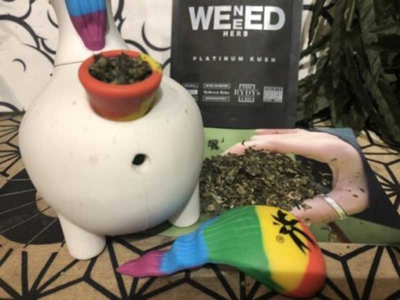 WENEED HERB BLUE CHERRY PIE�A�E�B�j�[�h�A�u���[�`�F���[�p�C�ACBN &CBD �n�[�u�A�W���C���g