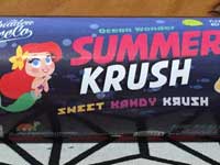 US Liquid The Forbidden Juice Company SUMMER KRUSH 60ml  �U �t�H�[�r�h�D�� �J���p�j�[ �T�}�[ �N���b�V�� 