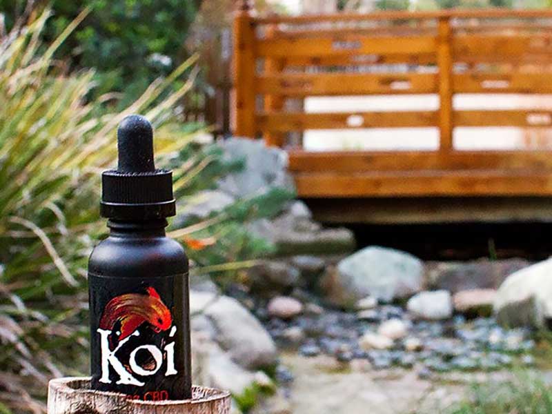 Koi CBD Cannabidiol Red&nbsp; 30ml CBD 250mg&nbsp;or&nbsp;500mg Strawberry Milkshake�X�g���x���[�~���N�V�F�[�N��