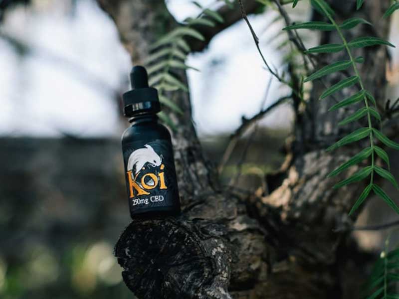 Koi CBD Cannabidiol White 250mg 500mg  CBD 30ml �t���[�o���X�@���D���ȃ��L�b�h�ɓY���p�A����