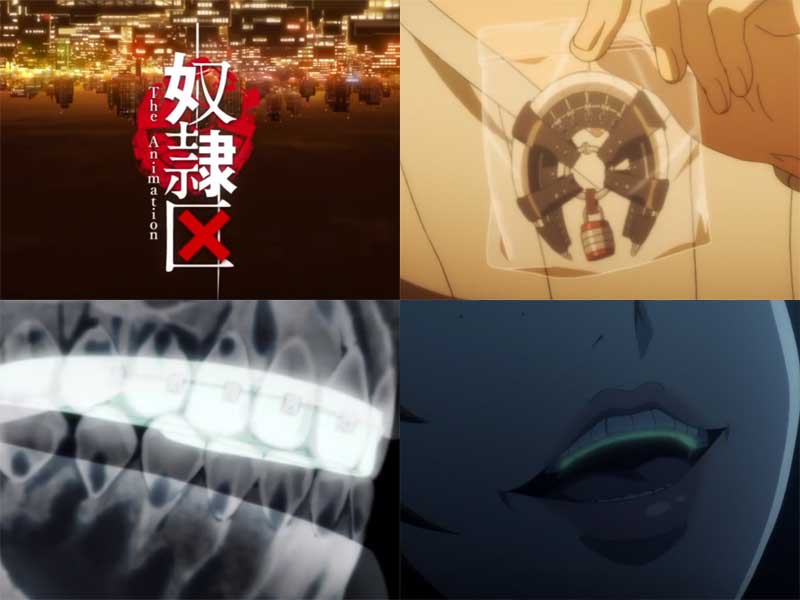 Mk Lab �z���~CRITICAL MIDNIGHT 15ml SCM VAPE�h���C�N ����&�n�j�[