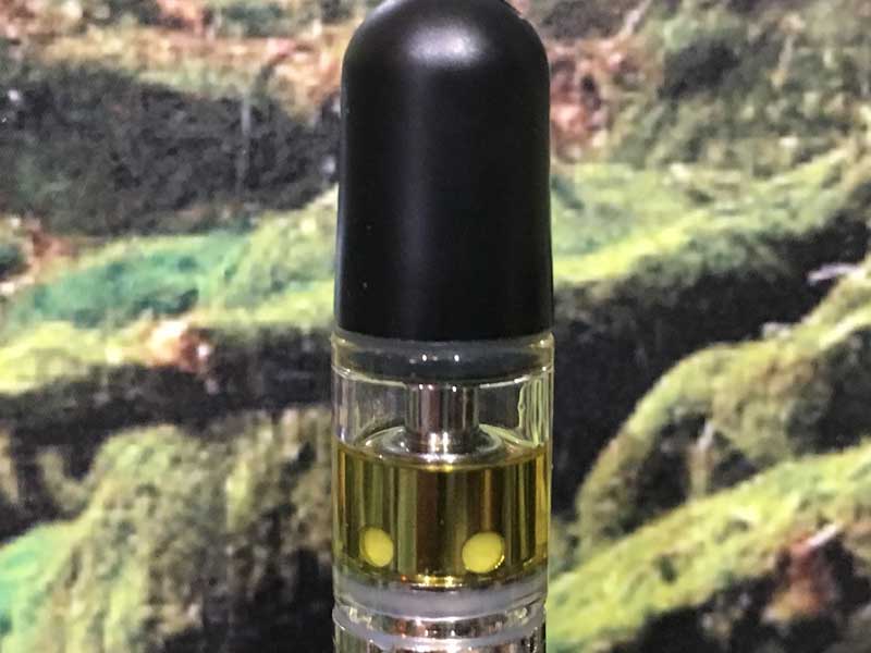 NATUuR CBD �i�`���[�� CBD Pen Plus 20%�@�e���y���z�� �g���؂�x�C�vMango Kush (�}���S�[�N�b�V��)