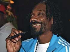 Hollywood�Z���u��Vapor�B �~���[�W�V�����n