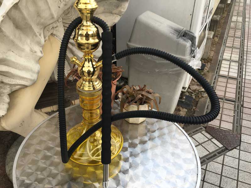 Shisha Washable Hose �V�[�V����p�z�[�X �􂦂鑾�� & �ׂ�