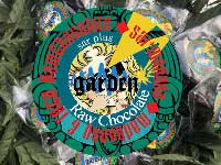 sar+ manana Garden edition THCH & Mad Honey Raw Chocolate