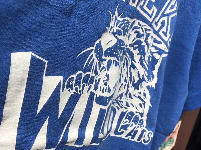 US �Ò� 90�N�� Used EUREKA WILDCATS �����[�J�̃n�C�X�N�[�� �t�b�g�{�[���`�[���@����T�V���c S