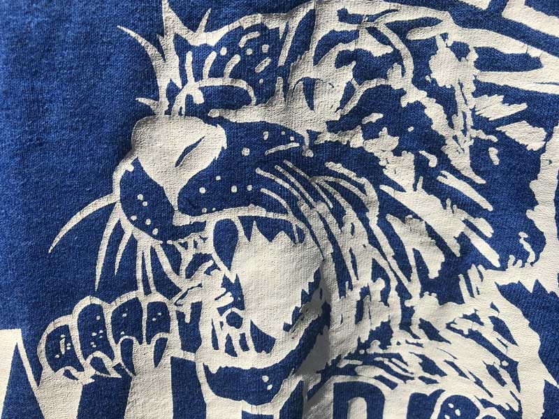 US �Ò� 90�N�� Used EUREKA WILDCATS �����[�J�̃n�C�X�N�[�� �t�b�g�{�[���`�[���@����T�V���c S