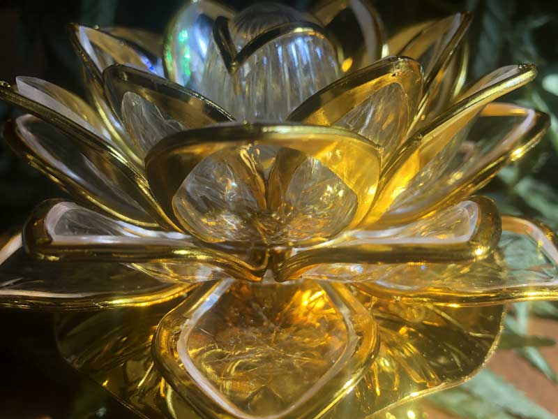 Buddha machine Lotus 13�� �������@�����肨�o���y���߂�u�b�_�}�V�[���@version