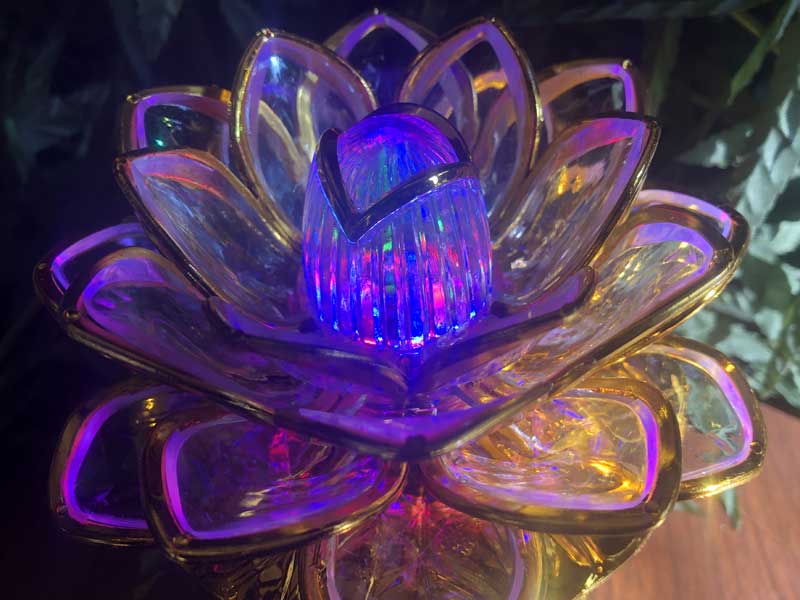 Buddha machine Lotus 13�� �������@�����肨�o���y���߂�u�b�_�}�V�[���@version