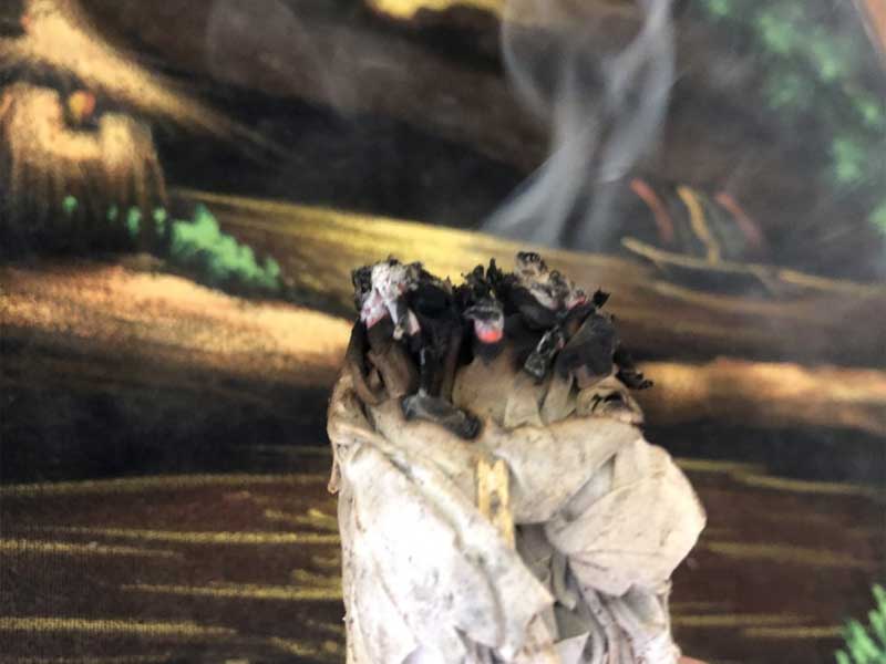 �J���t�H���j�A�Y���_��͔|�̃��[�Y�}���[�I�[�K�j�b�N �o���h�� 30g ���E�ŌÂ̂����A��