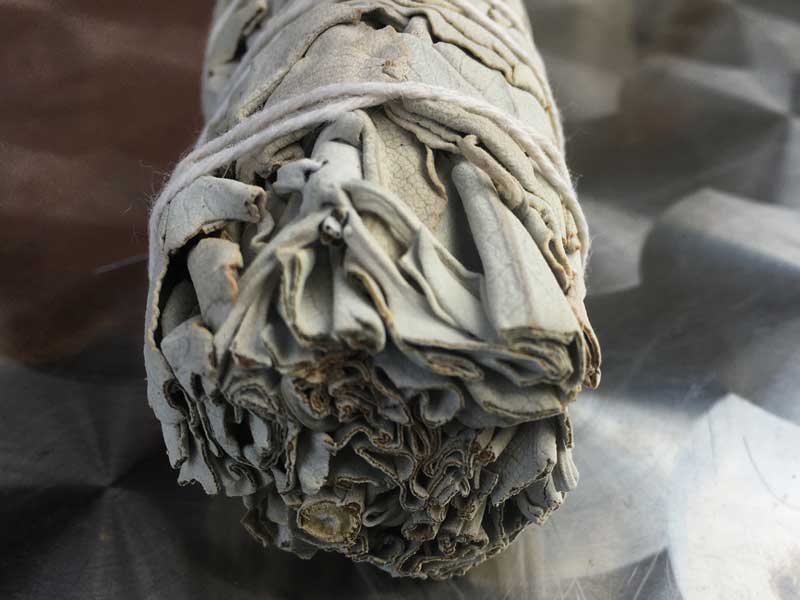 �J���t�H���j�A�Y���_��͔|�̃I�[�K�j�b�N �z���C�g�Z�[�W �o���h�� 40g ��C�╔���̏򉻂ɁI