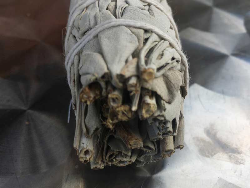 �J���t�H���j�A�Y���_��͔|�̃I�[�K�j�b�N �z���C�g�Z�[�W �o���h�� 40g ��C�╔���̏򉻂ɁI